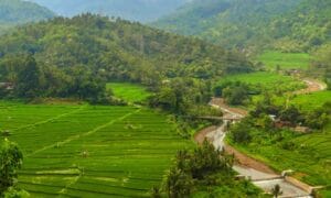 Read more about the article Kabel Semrawut di Singaraja Akan Diturunkan, Mengembalikan Kemilau Buleleng Lama